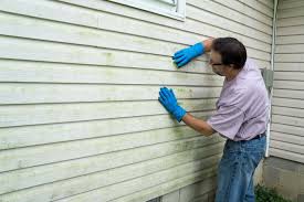 Best Siding Painting and Refinishing  in Martinsburg, PA